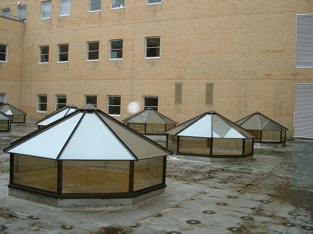 Flat Roof Skylights Parson's Green