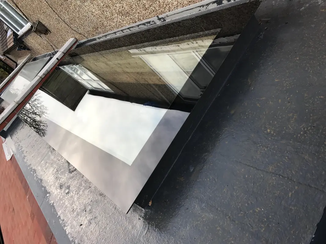 Velux Windows Parson's Green